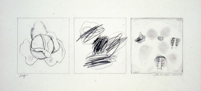 Brussel Sprout Leaf, 10" x 22" pencil drawing with Quinn age 4 (middle panel), 1993